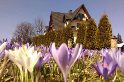 POKOJE CETYNKA NA SZYCIE GUBAŁÓWKI